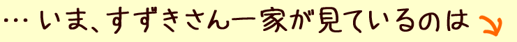 …いま、すずきさん一家が見ているのは