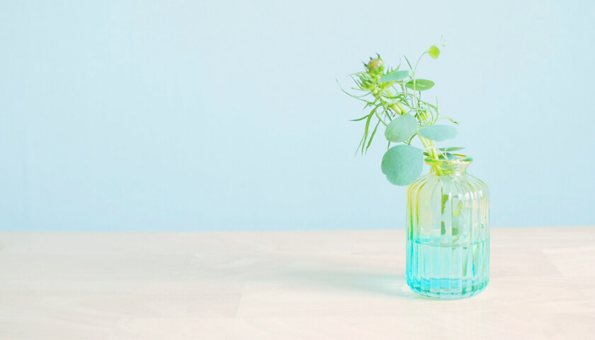 ǯ顢βʪ򿩤٤ȸ椬椯ʤ롣ɤн褷褤Τꤿ