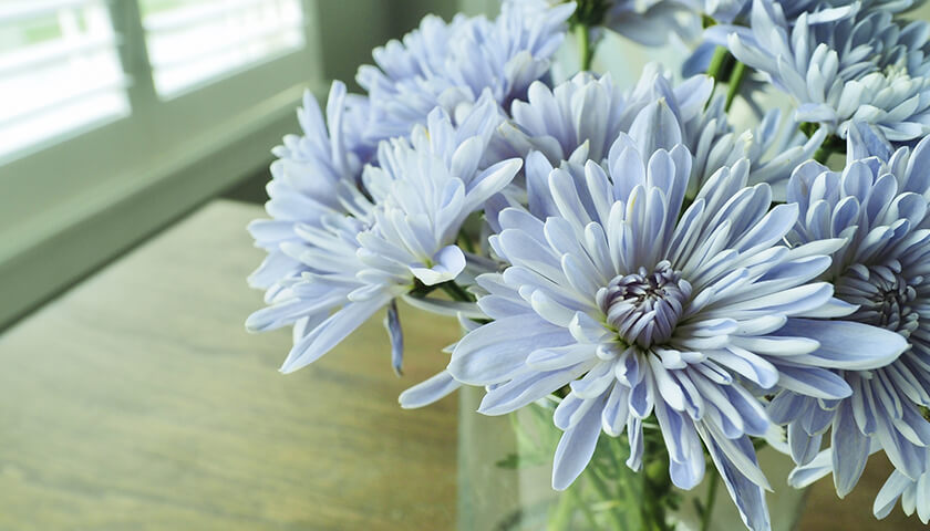 PSAͤ⤤Ωβǽ롩ˤϿɬס