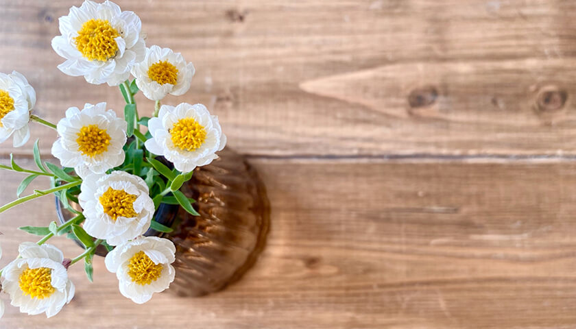 ʤ˴塢ĤŤΤϸɡǤ٤