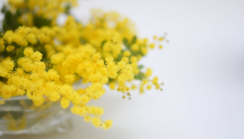 д˾ɤˤܤδ硣줿ɤµ狼餺԰