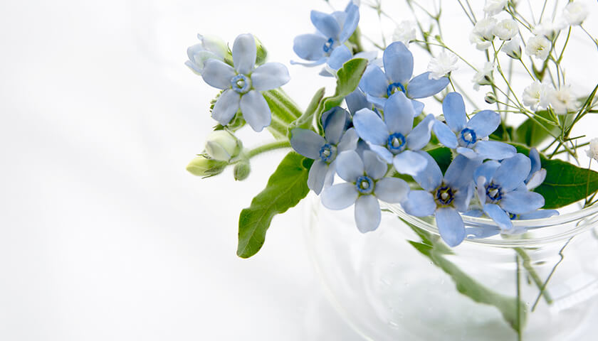 ͤͤǤϤʤôΤȤλŦ뤳ȤϤǤ롩