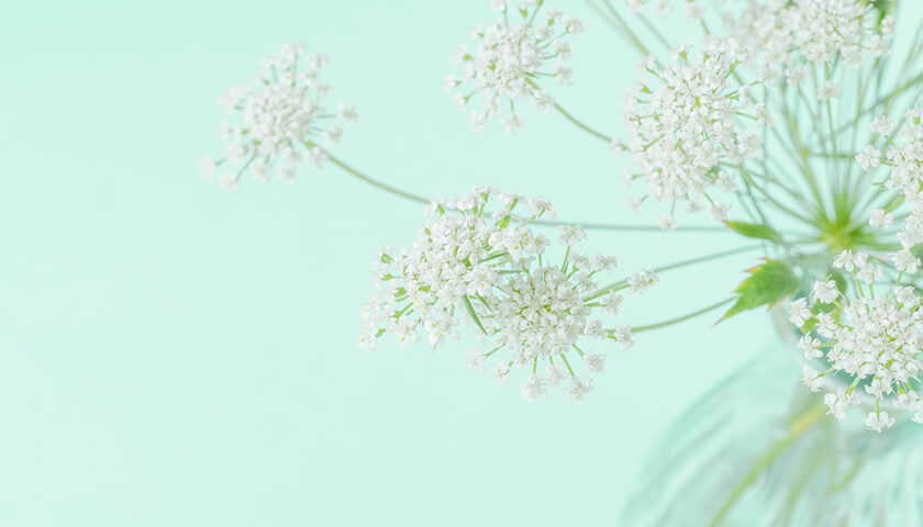 ٤Τ˦ʥ֥ˤεŦ줿٤ˤʤǽϤ롩