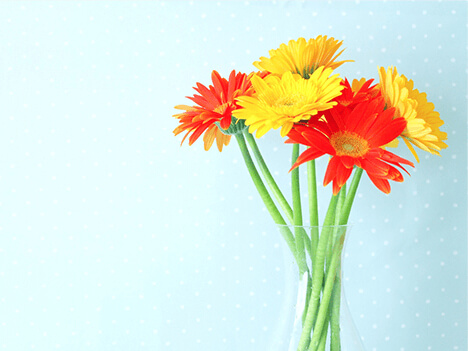 ˤߤ֤ߤȯȤ˼ѥå¤ˤĤΤꤿ