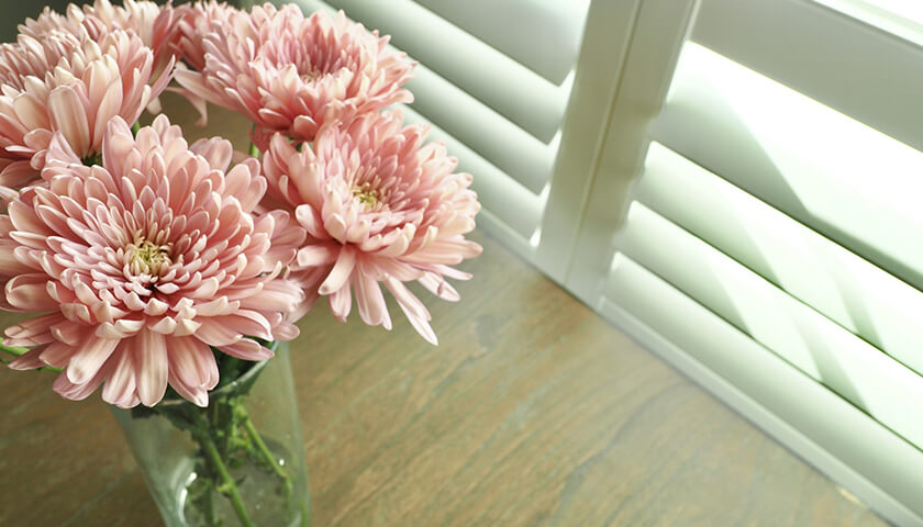 絥󥸥򤯤֤Ƥ롣ȥ쥹ʳȯɤθнˡΤꤿ