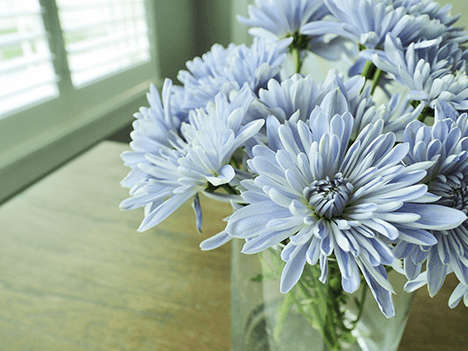 Ƭ¦Ƭ˻ɤ褦ˤߡˤߤޤΤǼǤʤƤʤ