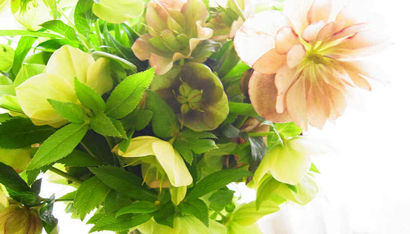 ̼ˡ־Ĳư̮ɸפε롣ɾФ䤹ߥ󥰤ȡˡΤꤿ