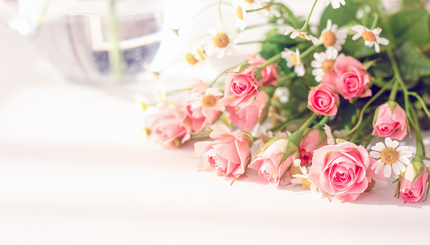 ʹ֥ɥåǹþˤ꤬Ĥäβǽ⤢뤿԰