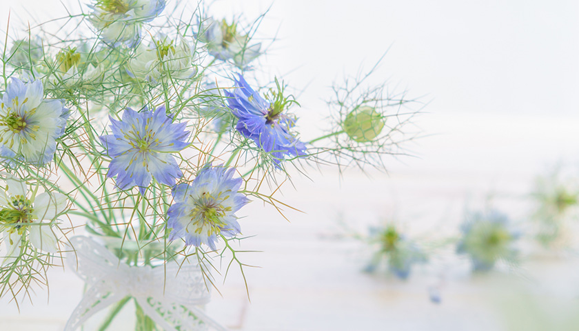 Ҥɤݰǥ¤ήԤƤ롣ߡǥǥؤؤαƶϤ롩