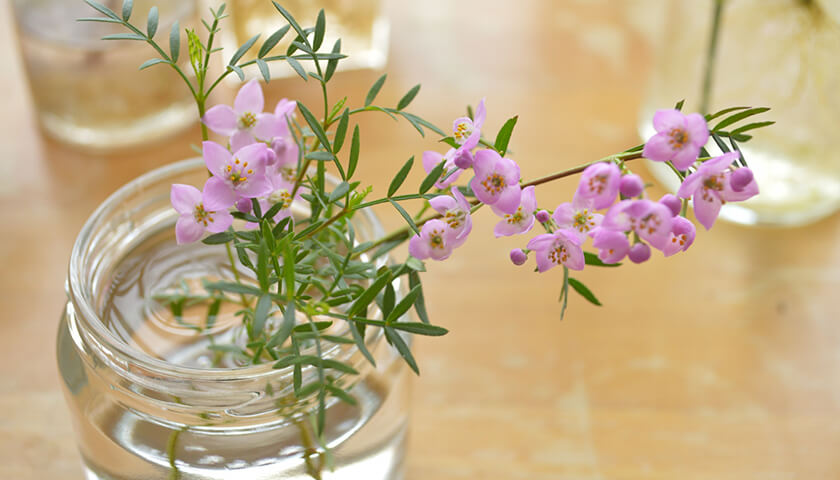 19Фֿ̼Ƥ󤫤ȯפȿǡȯ򸺤餹ˤ褤ˡϤ롩