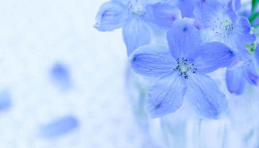 ͫĤʵʬޤȯǯ㳲ϼŤɬס