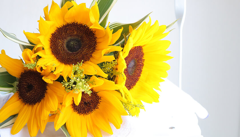 ǯƤˤʤȤξɾФ롣ĹĤ餤ᡢΤꤿ