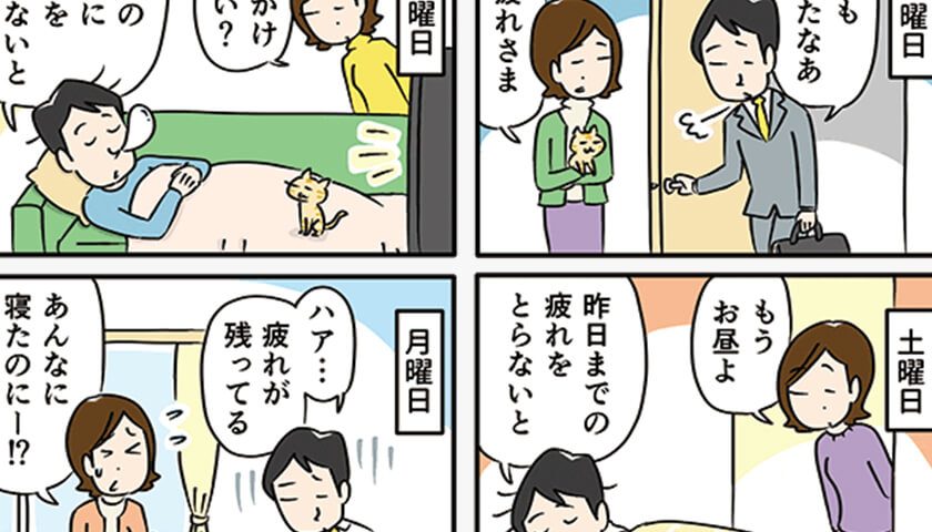 ���ܡῲ�뤳�ȤǤϤʤ��������ܳؤ�����ꥻ�å�